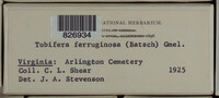 Image Associated With the Occurence